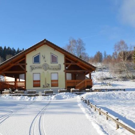 Le Chalet Du Bucheron Gérardmer Exterior foto